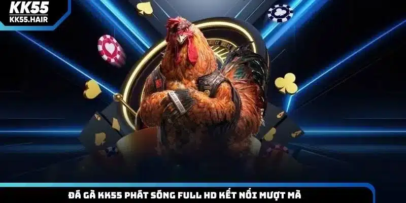 Đá gà KK55 phát sóng full HD kết nối mượt mà